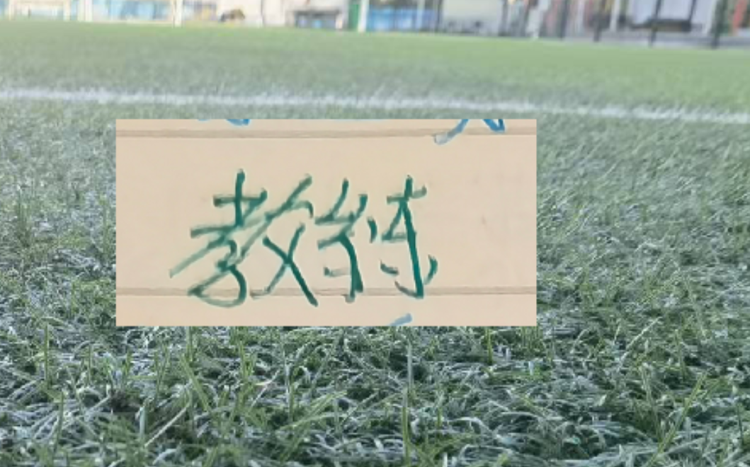 体育入口-2025赛季北京国安的塞蒂恩+拉米罗 算是成功的吗？